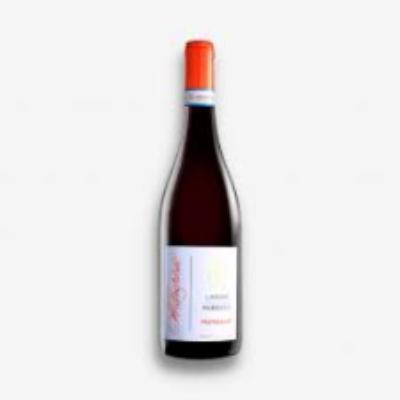 Marchisio Langhe Nebbiolo "Mungalat" 2024