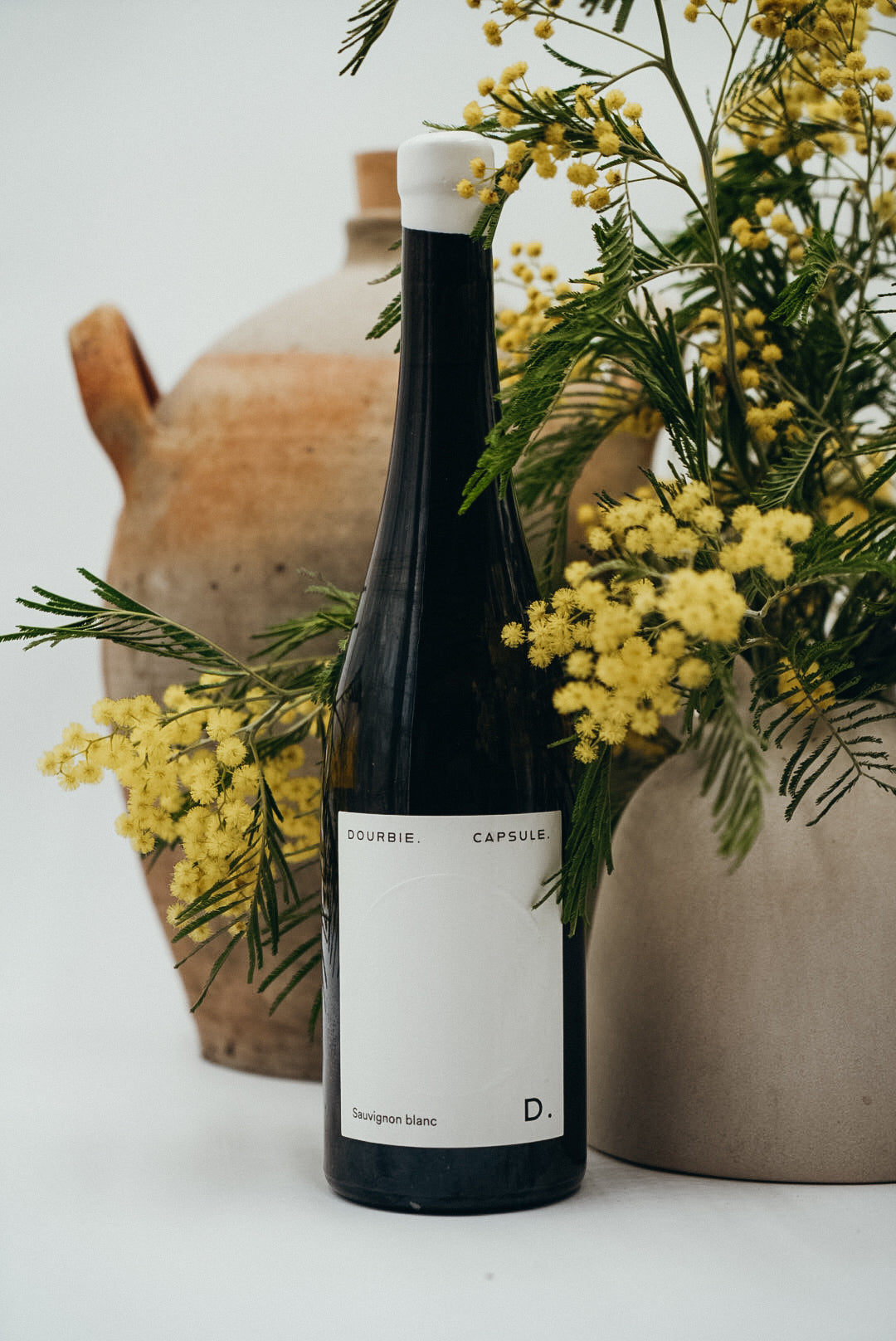La Dourbie Cuvée Capsule Sauvignon Blanc 2024 – producentens foto