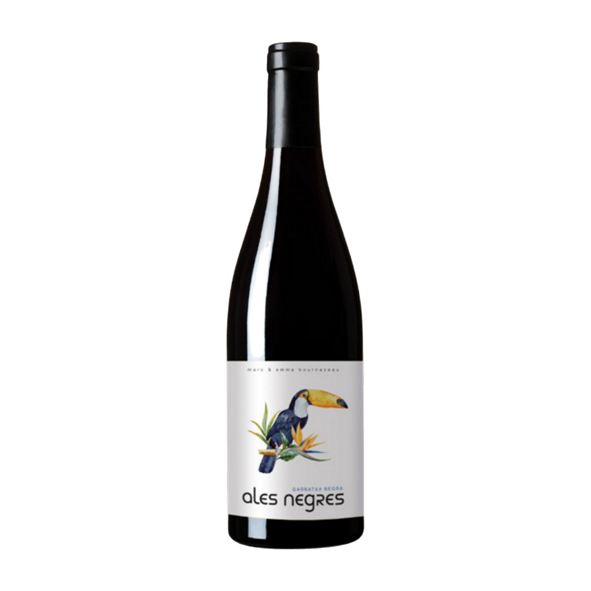 Terra Remota Ales Negres Catalunya 2019 – fritlagt flaske